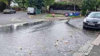 'We're banned from using hosepipes but Thames Water hasn't fixed leak flowing down street for weeks'