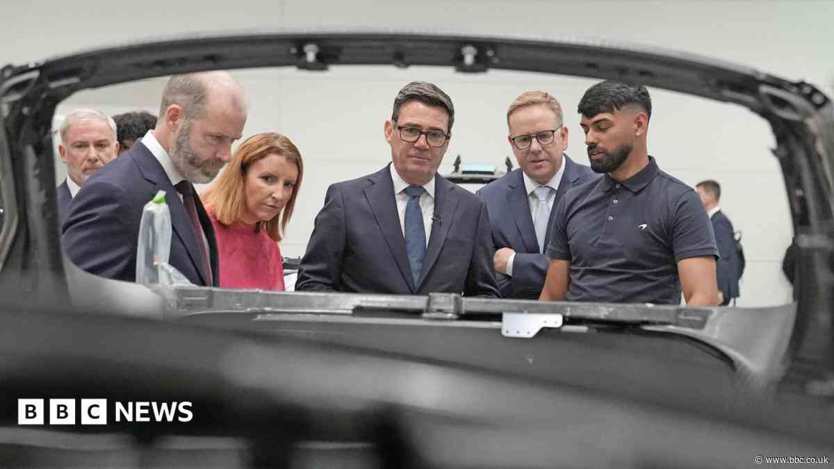 McLaren investment will tackle Neets issue - minister