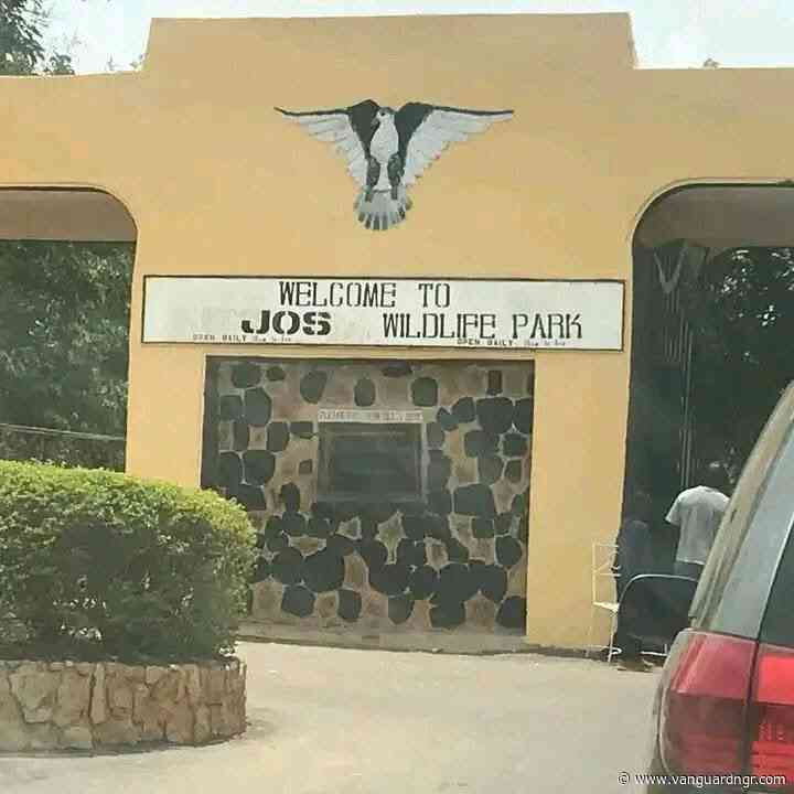 Mutilated corpse of woman found in Jos forest reserve