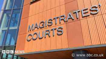 What happens when a shoplifter is brought before the courts?