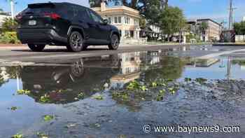 Tampa City Council set to vote on South Howard flood project amid community divide