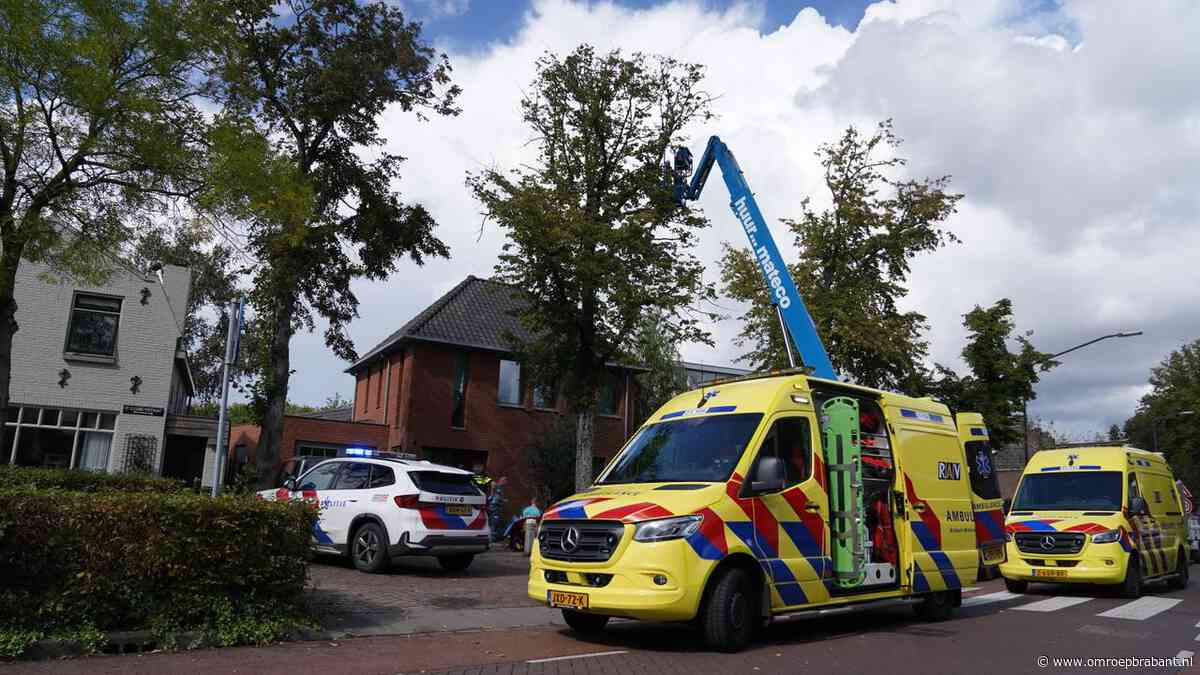 Man nog in ziekenhuis na metershoge val door aanval van hoornaars