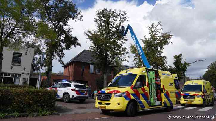 Man nog altijd in ziekenhuis na val uit hoogwerker door hoornaars