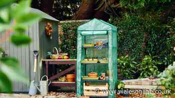 £5 off when you spend £25 at Dobbies