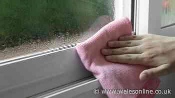 Stop condensation appearing in homes by rubbing windows with 1 item in September