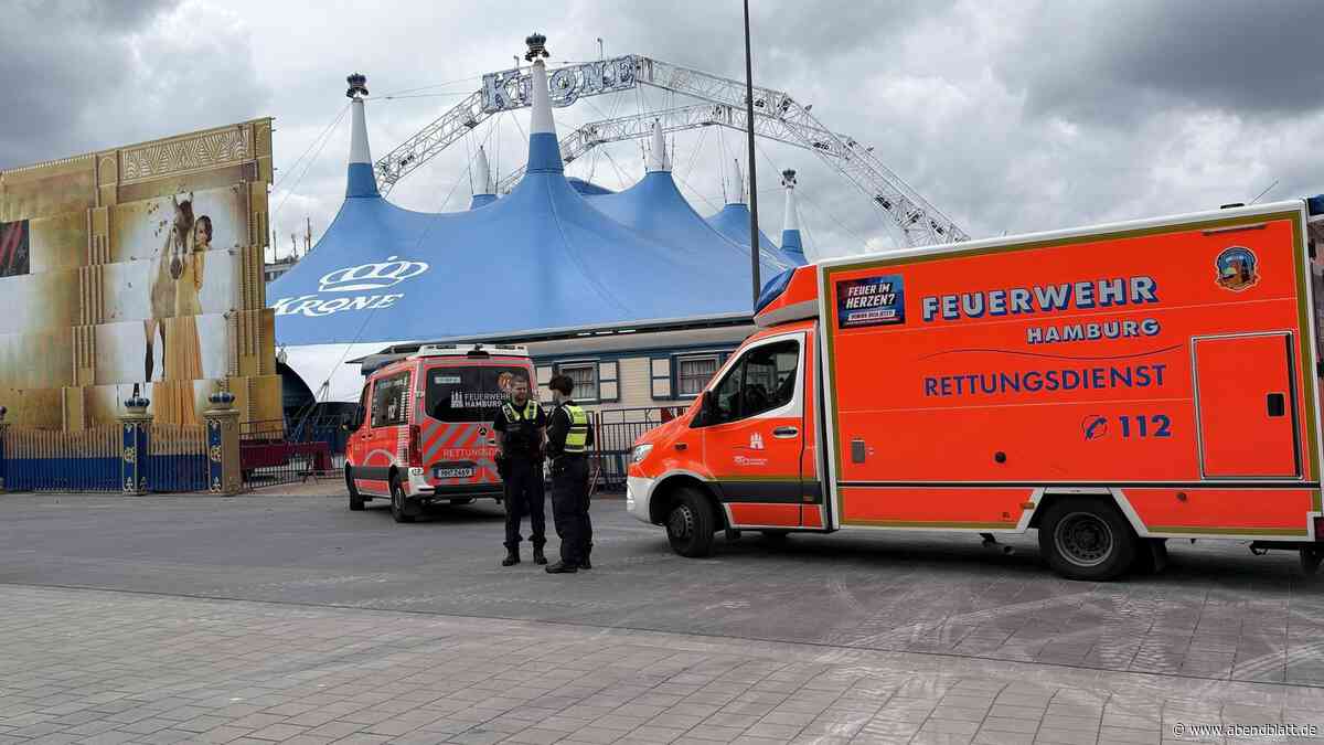 Nach Kritik an Circus Krone in Hamburg: Schlägerei auf Zirkuszelt