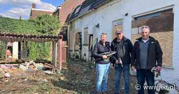 Geen genade voor illegale kap in Eindhoven: bomen moeten worden herplant of voor 82.000 euro worden vergoed
