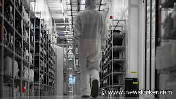 Nexperia gaat chips maken in India na Chinese breuk