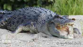 River home to 500 crocodiles chosen as Olympic rowing venue