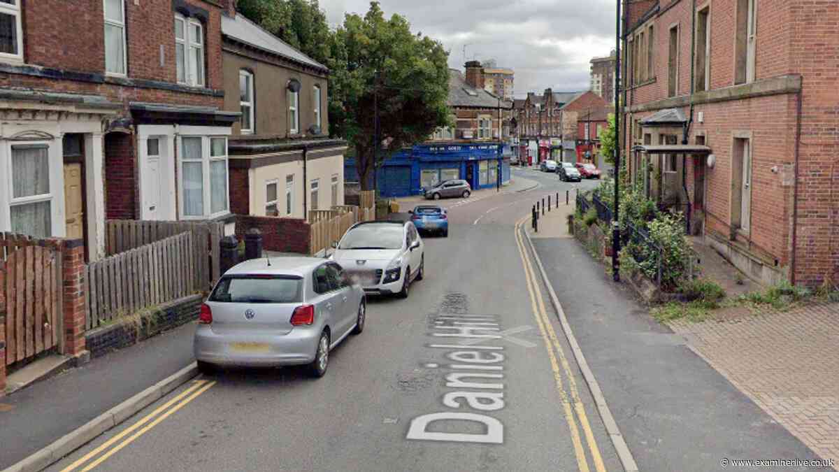 Man seen assaulting woman on Sheffield street before pair left in car