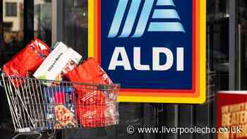 Aldi part unveils Christmas 2026 range with mince pies from 21p