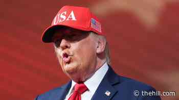Trump: EU allowing Canada to become associate member could be 'hostile act'