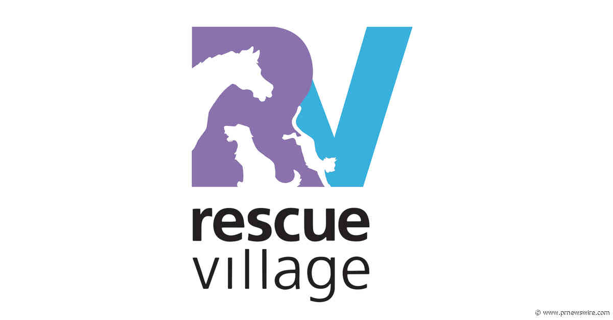 Rescue Village's Woofstock Is This Sunday -- Rain or Shine