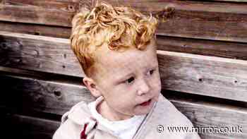 Noah Woods: Heartbroken dad of missing toddler, 3, pays tribute to 'innocent boy'