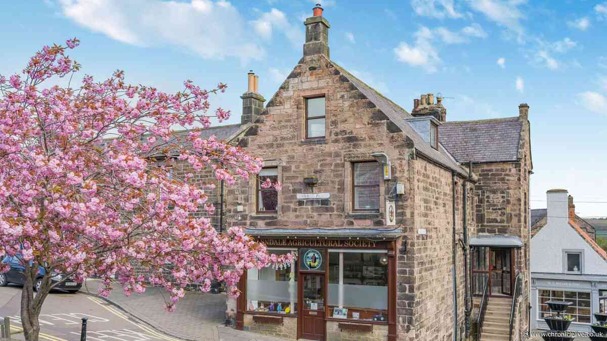 'Classy' Northumberland holiday townhouse has 'everything on the doorstep'