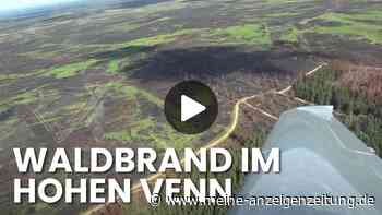 Luftaufnahmen zeigen das verheerende Ausmaß der Flammen im Hohen Venn