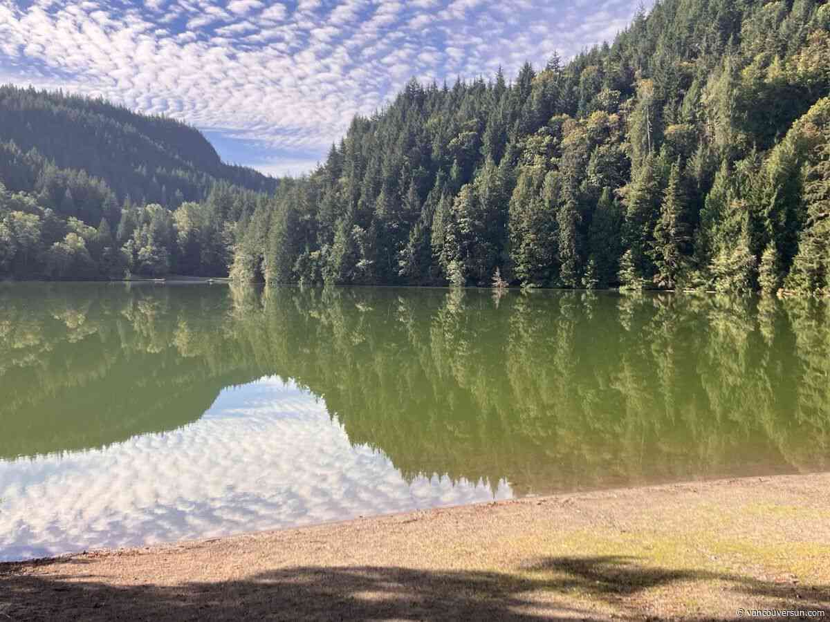 B.C. health officials warn of risks from algae blooms. Here's how to protect your kids