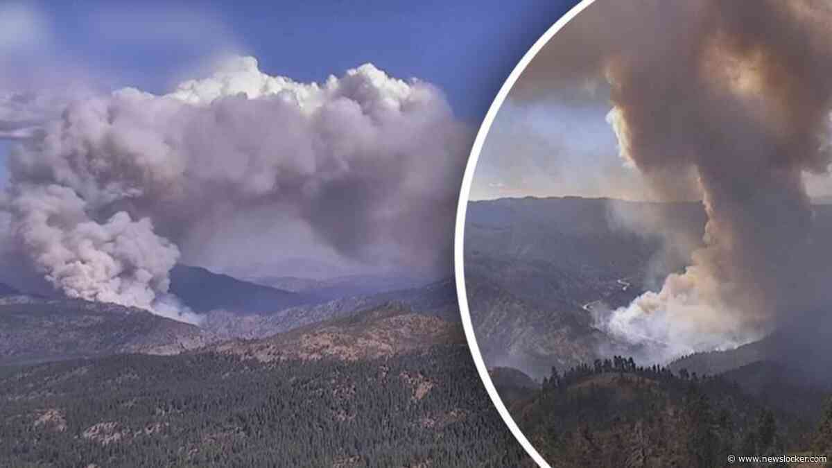 Beelden tonen snelverspreidende bosbrand in Californië