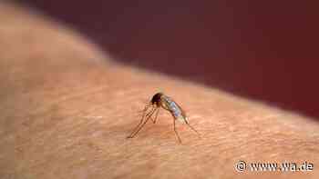 Dritter Malaria-Infizierter ist tot