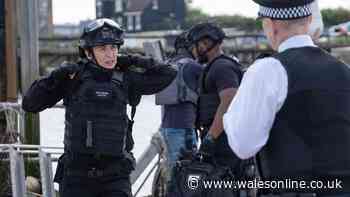 ITV Trigger Point boss issues three-word response about series 5