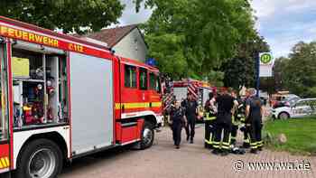 Vergessene Pizza löst Feueralarm aus – Bewohner droht Feuerwehr Schläge an