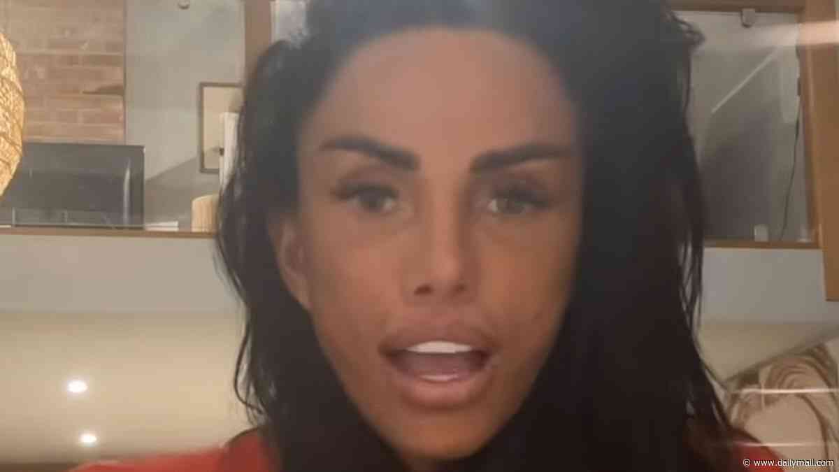 Katie Price vows to concentrate on her children after splitting from Lee Andrews and says 'you can only tolerate so much'