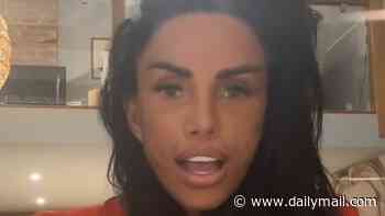 Katie Price vows to concentrate on her children after splitting from Lee Andrews and says 'you can only tolerate so much'