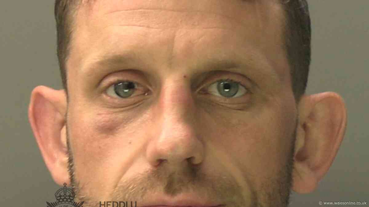 Porth man stabbed his brother then told police a disgusting lie to save himself