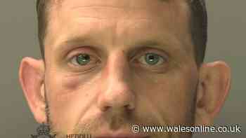 Porth man stabbed his brother then told police a disgusting lie to save himself