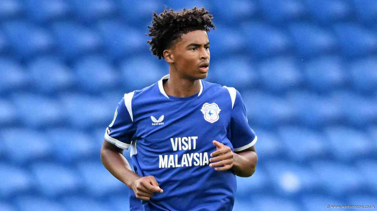 Cardiff City history-maker earns huge Wales promotion as six Bluebirds get call