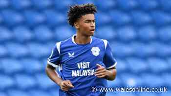 Cardiff City history-maker earns huge Wales promotion as six Bluebirds get call