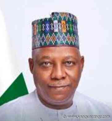 Shettima clarifies remarks on Northern governors’ support for Tinubu