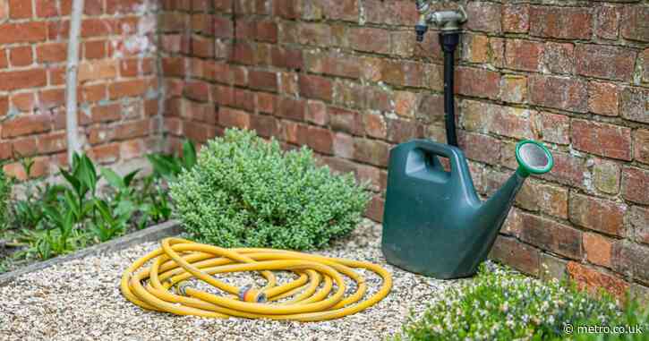 Wet weather has returned to the UK — but hosepipe bans are far from over