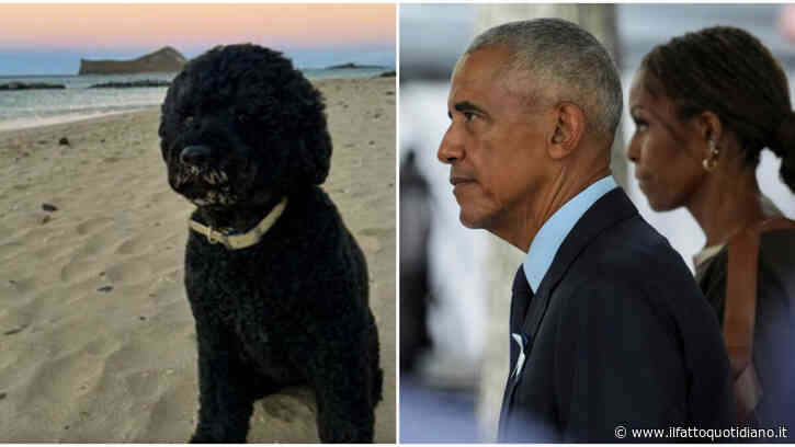 “Se n’è andata la nostra Sunny, ci mancherà da morire”: Obama distrutto dal dolore per la scomparsa della cagnolina simbolo della Casa Bianca