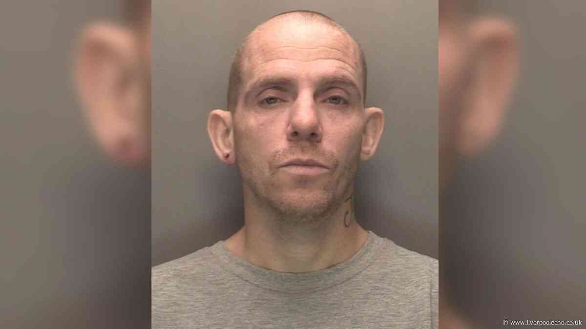 Man blames his dog for burgling neighbour's flat