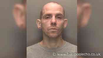 Man blames his dog for burgling neighbour's flat