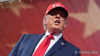 Trump: Surging gas costs are 'very inexpensive price to pay' for Iran war 