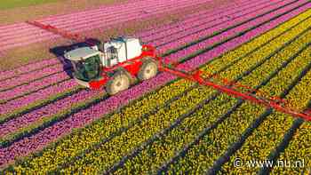 573 wetenschappers vragen EU regels over pesticiden nog niet te versoepelen
