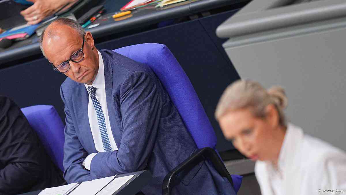 Berlin Tag & Macht: Halbiert ist nicht die AfD, halbiert ist die Brandmauer