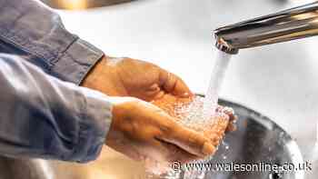 Popular hand soap recalled from supermarkets after harmful bacteria found
