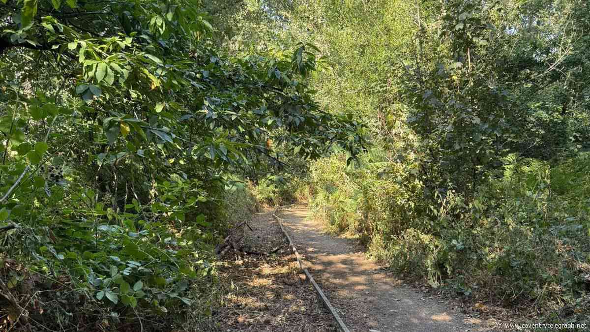 Blocked paths in Coventry woodlands cleared by council after residents' campaign