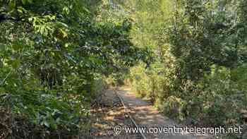 Blocked paths in Coventry woodlands cleared by council after residents' campaign