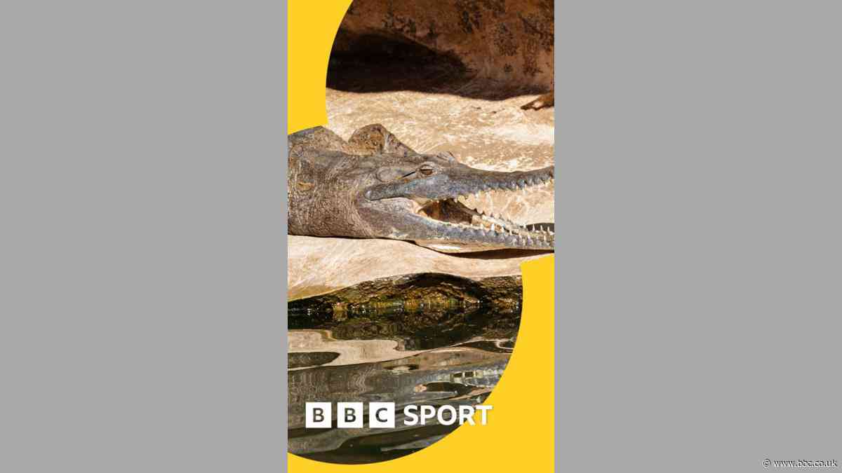 A river home to crocodiles is hosting Olympic rowing...