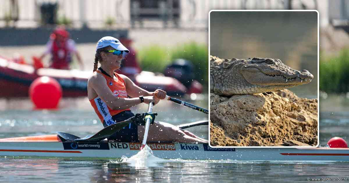 Roeien tijdens Olympische Spelen van 2032 op Fitzroy River, waar honderden krokodillen in leven
