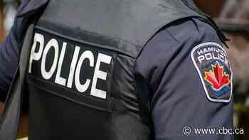 One person arrested after group discharges bear spray at Hamilton home and park