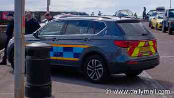 Border guard sacked for using company car to visit dying father and drop off dog medicine loses unfair dismissal case
