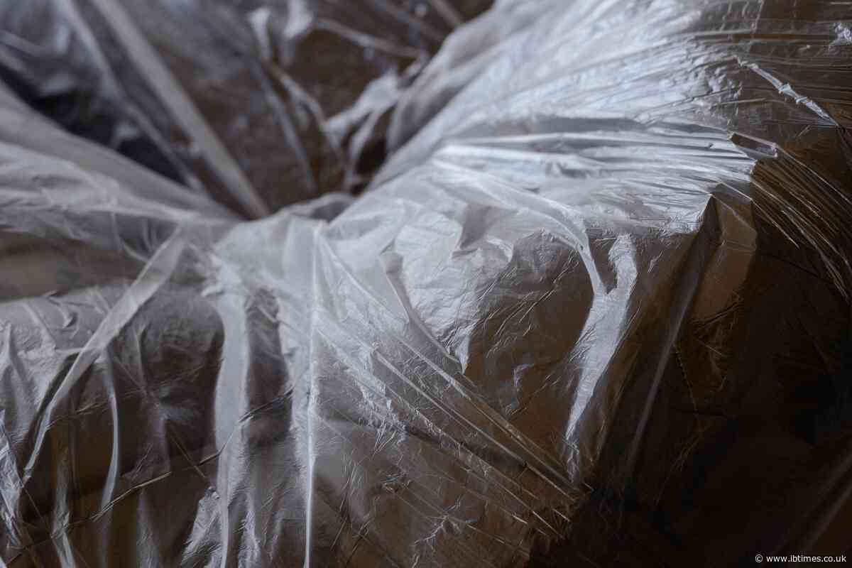 'Go Big or Go Home': Husband Jailed for 35 Years After Wrapping Decomposing Wife in Plastic