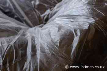 'Go Big or Go Home': Husband Jailed for 35 Years After Wrapping Decomposing Wife in Plastic