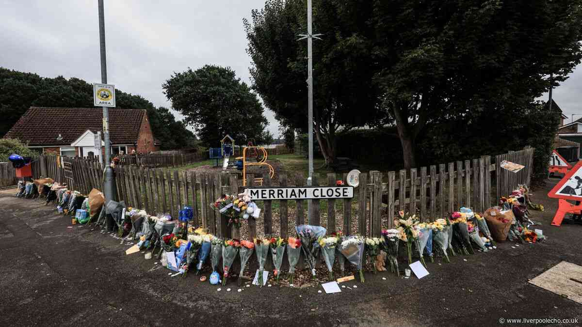 Noah Woods, 3, formally identified as dad 'absolutely heartbroken'