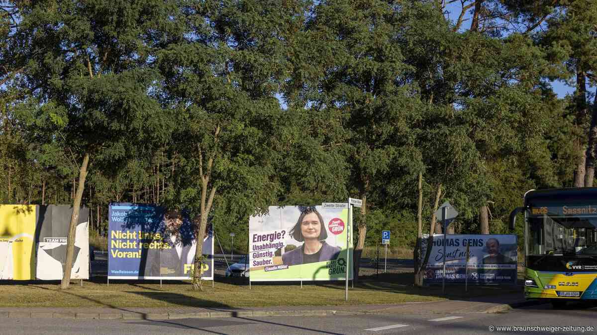 Wahl in Mecklenburg-Vorpommern: Grüne bekommen prominente Rückendeckung